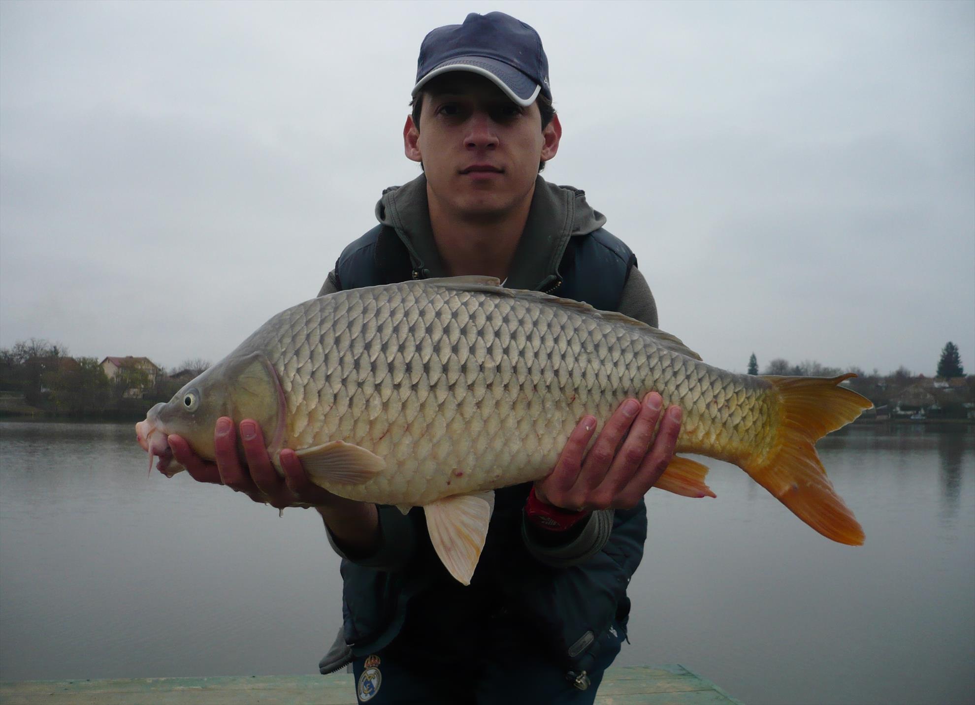 MV2 - 13.NOI.2013 - p10109331.JPG